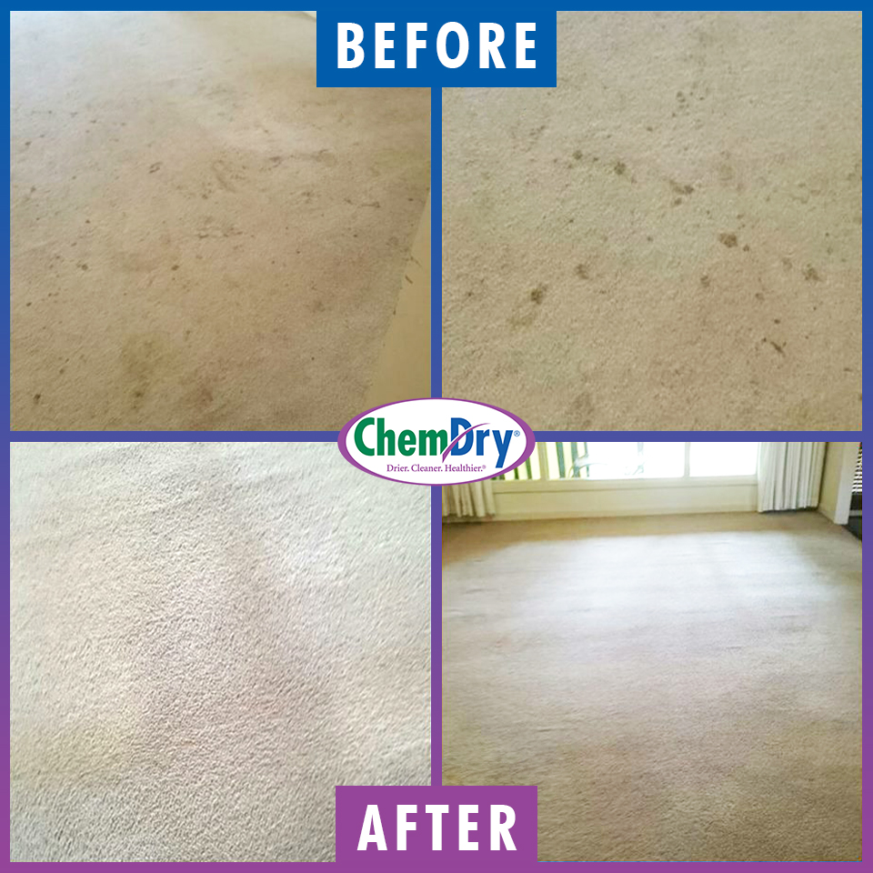 Expert end of lease carpet cleaning in Busselton gets your bond money back - image